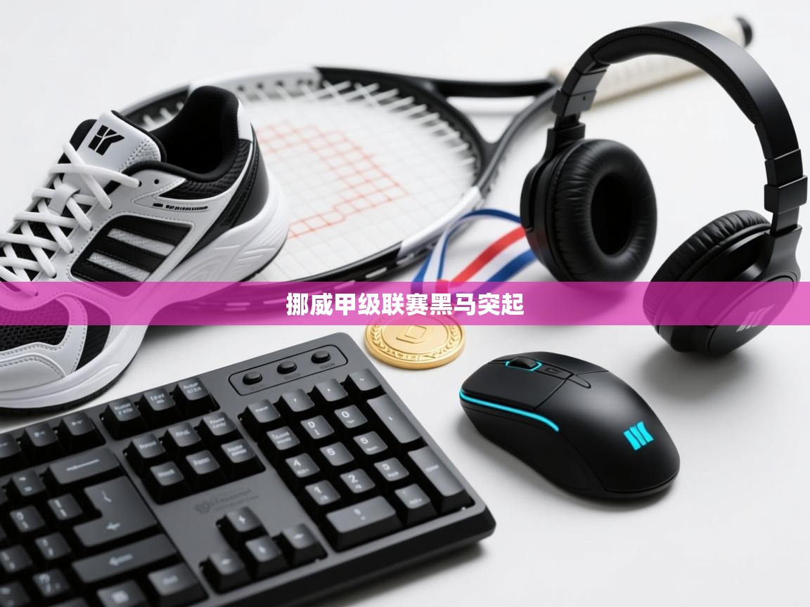 问鼎娱乐app-挪威甲级联赛黑马突起  第4张