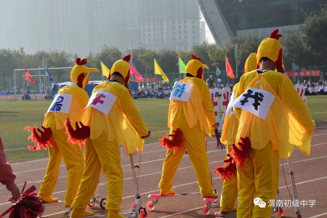 充满风味，别具一格的赛场盛事将至的简单介绍