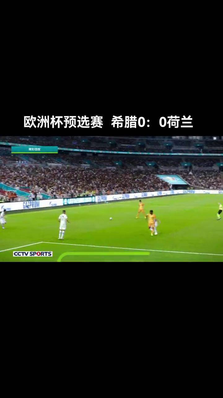 立陶宛队取得关键胜利，成功晋级欧洲杯预选赛